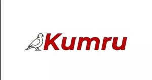 kumru ai sahibi kim yerli yapay zeka kumru ai kurucusu kim lSUClMEu.jpg